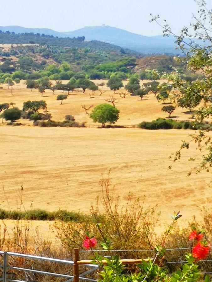 Sharish - Monte Das Estevas Estremoz Exteriér fotografie